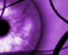 Behind Purple Eyes [f]