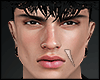 s. Mesh Dk Dario l