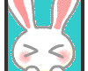 cutte bunny