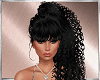 Silver outfit RLL