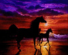 Poster of horses, sunset