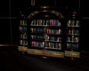 ~The Totem~Bookshelves