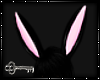 Kii~ Nyx Bunny Ears