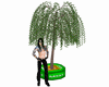 Potted Tree -Derivable-