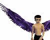 purple on black wings