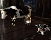 Cow & Calf Animated