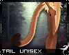 !F:Rasy: Tail 3