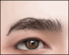 Eyebows