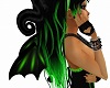 green black wings