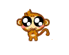 sad little monkey