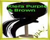 Kiera Purple & Brown