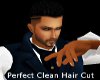 Clean Cut Perfect Hair