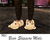 Bear Slippers Male