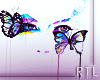 R| Butterflys |Poster