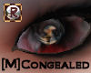 Congealed Eyes [M]