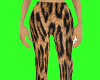 PANTALON  X JAGUAR 5s F
