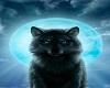 blue wolf moon