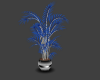 blue plant
