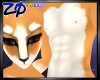 Corgio | Skin