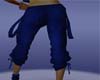 Gaucho Blue Pants