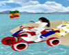 P.R. animated 4-wheeler