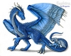 saphira the dragon