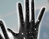 SB*End of Year Gloves