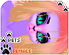 [Pets] Phir | hair v7