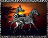Zebra Sunset Pic Frame