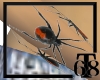 (T68) Spider Bangle