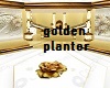 golden planter