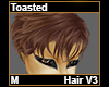 Toasted Hair M V3