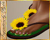 I~Sunflower FlipFlops