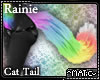 Rainie - Cat Tail