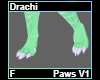 Drachi Paws F V1