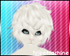 Albino Ferret Hair M