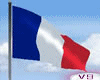 V9 FRANCE Flag Animated