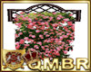 QMBR Lattice Pink Roses