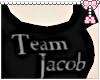 team jacob