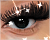 Lashes v2 | R x L