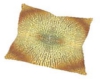 Arabian Dreams Pillow 2