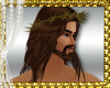 D3~Jesus Hair