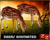 zZ Deer Animated Magic
