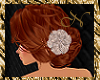 Fannie Copper w/Rose