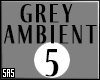 SAS-Grey Ambient 5