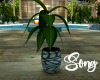 ~SB Summers End Plant