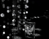SN Light dody
