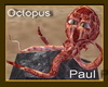 !~TC~! Octopus Paul rock