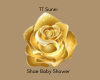 TT Sunni - Shower