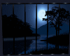 Midnight Window